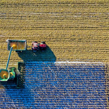 a top down view of a combine harvesting a crop